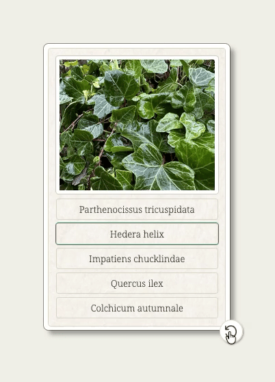 A demo of how to open plant descriptions